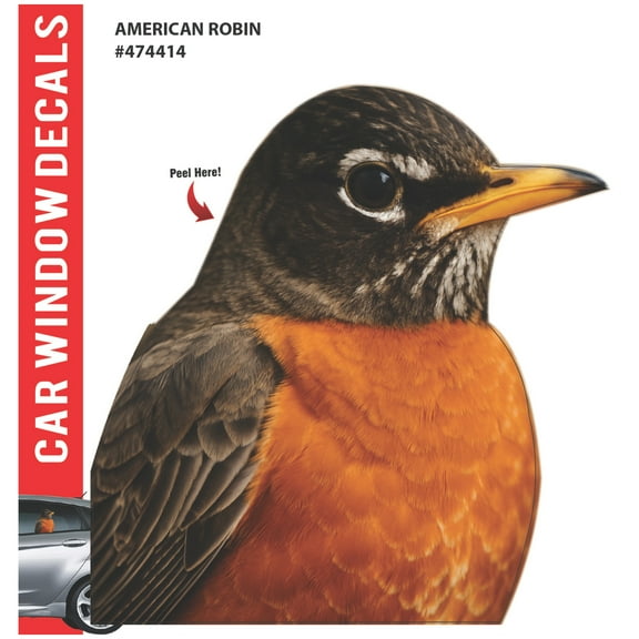 Car Window Exotic Bird Decals - 3D