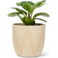 thumbnail image 2 of Abbott Collection Small Dot Pattern Planter-4" H, Beige (27-PINPOINT-142-SM), 2 of 7