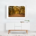 thumbnail image 2 of Autumn in Central Park, New York 03 - Manhattan New York Photography White Framed Wall Art Print 16 x 24 inches, 2 of 3