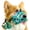 Green, variant on Dog Muzzle, Basket Muzzle for Small Medium Large Dogs, Anti-Biting and Chewing, Lightweight & Sturdy Cage Design, Allows Panting & Drinking, Ideal for Grooming & Training(Green Size S)