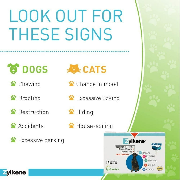 Zylkene top dog anxiety
