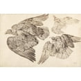 thumbnail image 3 of James Ward 24x17 Black Modern Framed Museum Art Print Titled - Eagles, 3 of 5