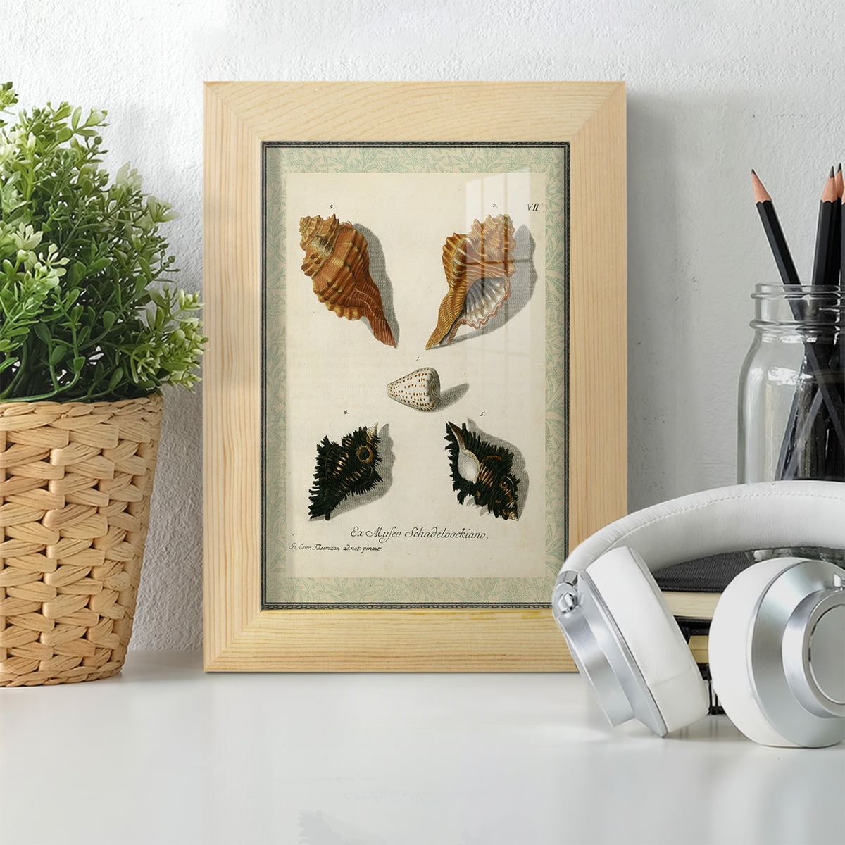 Bookplate Shells I - Framed Print w/glass - Natural Wood