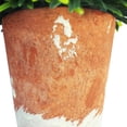 thumbnail image 2 of K-Cliffs Home Decor Mini 6.3 inches Artificial Grass Plant Potted in Whitewashed Paper Pulp Pot Green;Dimensions: 5.7L x 5.7W x 6.3H inches, 2 of 3