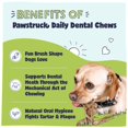 thumbnail image 2 of Pawstruck Natural Dental Chews for Small Medium Dogs & Puppies - Vet Recommended Brush Stick Treats Made in USA Breath Freshener to Improve Oral Hygiene & Clean Teeth - 30 Count - Packaging May Vary, 2 of 7
