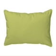 thumbnail image 2 of Cactus in Planter Indoor/Outdoor Pillow 16x20 Medium, 2 of 2