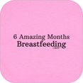 6 Amazing Months Breastfeeding Bodysuit