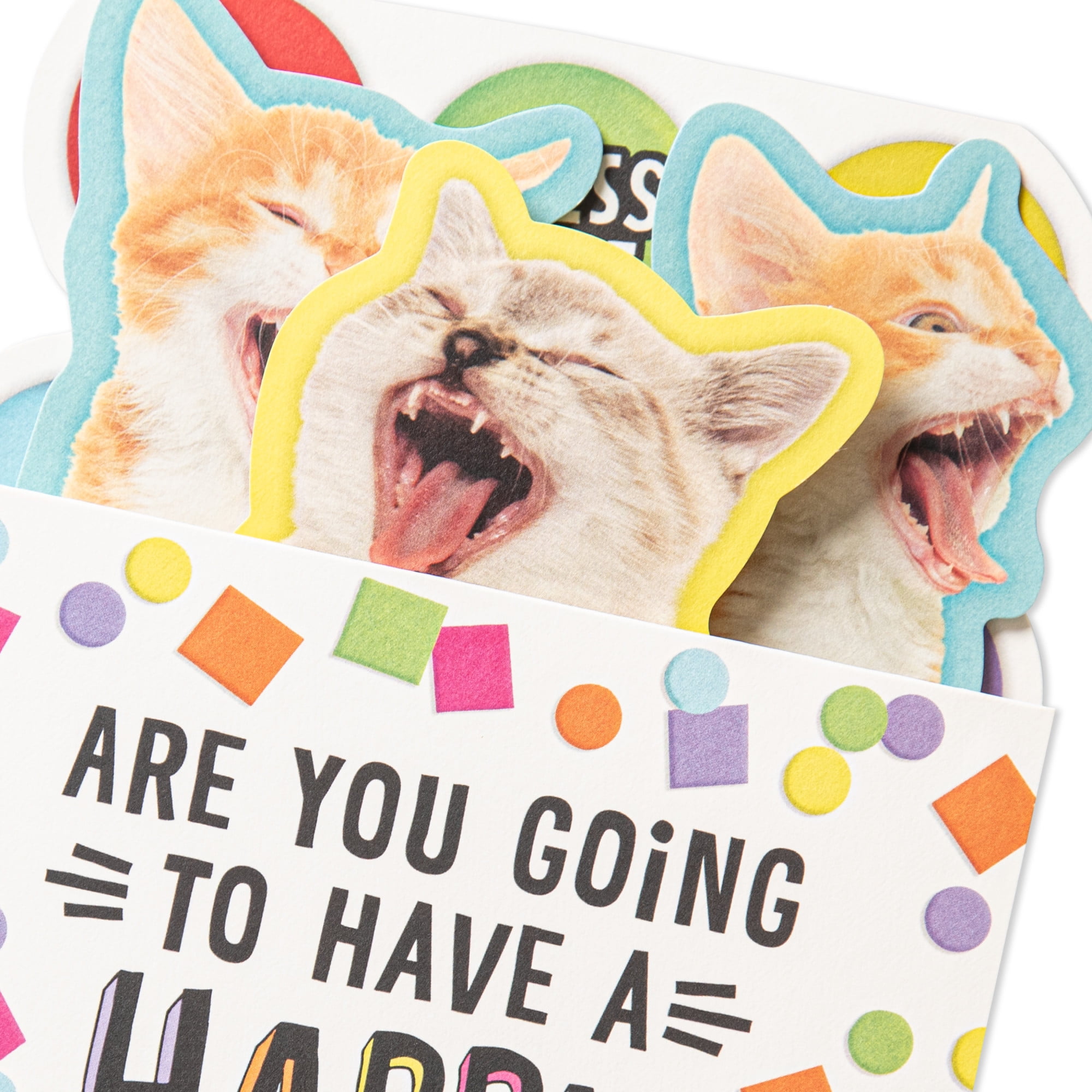 Hallmark Funny Musical Pop-Up Birthday Card (Singing Cats)