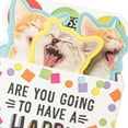 thumbnail image 5 of Hallmark Funny Musical Pop-Up Birthday Card (Singing Cats), 5 of 7