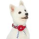 thumbnail image 1 of Blueberry Pet 4 Patrones Bon Voyage Sea Lover Collar Ajustable Para Perro En Cuello Rojo Atemporal De 43 A 20.5 In Para Razas Grandes, 1 of 1