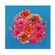 thumbnail image 3 of 35.4 Flower Print Bandana: Add a Pop of Color to Your Look with These Stylish Floral Head Scarves!, 3 of 4