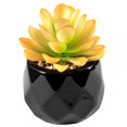 thumbnail image 1 of Artificial Succulent Plant Mini - Plastic Greenery Decoration Faux Potted Plant, 1 of 5