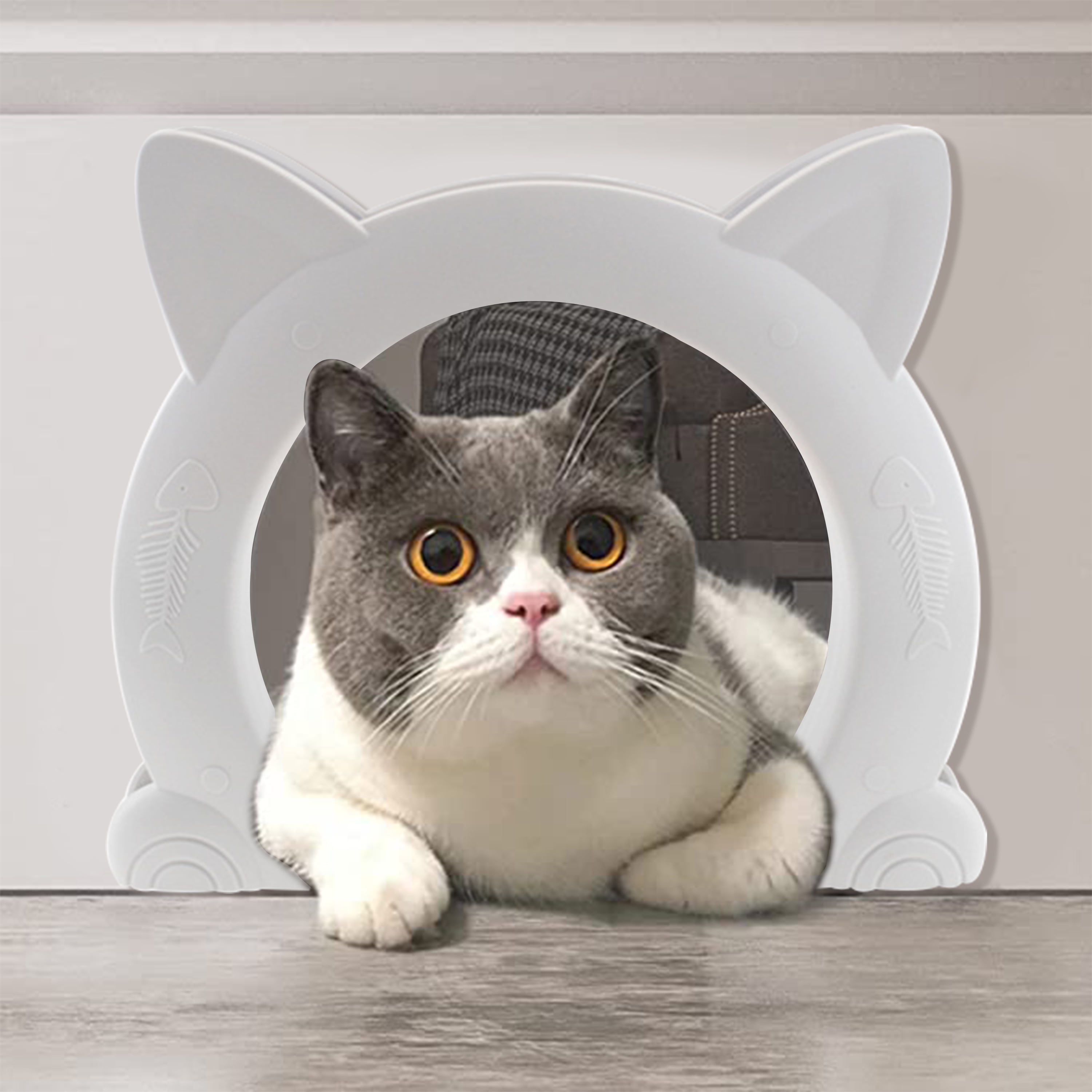 Diy Cat Door In Hollow Door Shop Stores clc.cet.edu