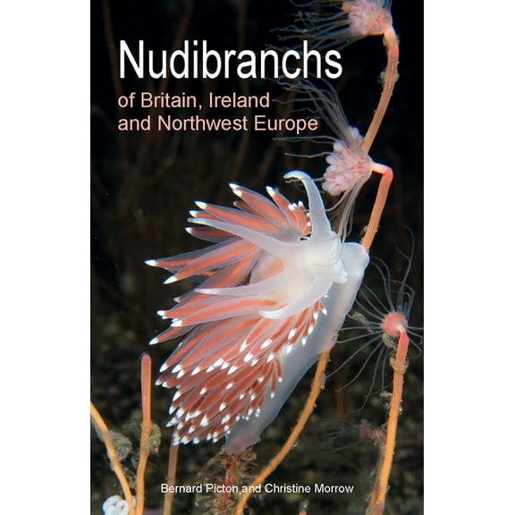 Wild Nature Press Nudibranchs of Britain, Ireland and Northwest Europe: Second Edition, Book 15, (Paperback)