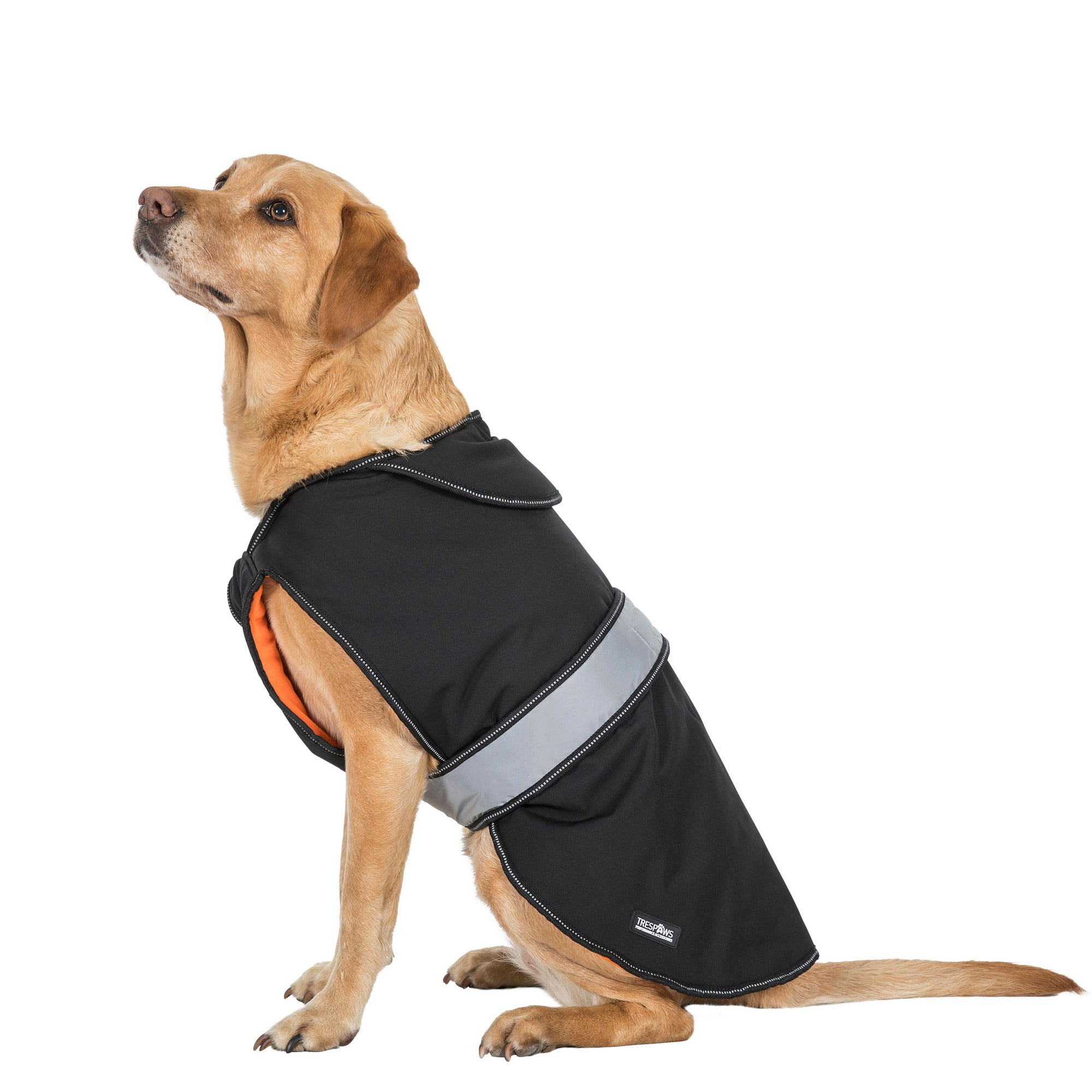 repelz it dog coat