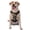 Without Accessories, variant on Vsdgher Noble Style Bald Eagle Pattern Dog Harness,No Pull Pet Harness with Soft Padded Handle,Adjustable Reflective Vest with 2 Buckles,4 Slide Buckles,S-XL