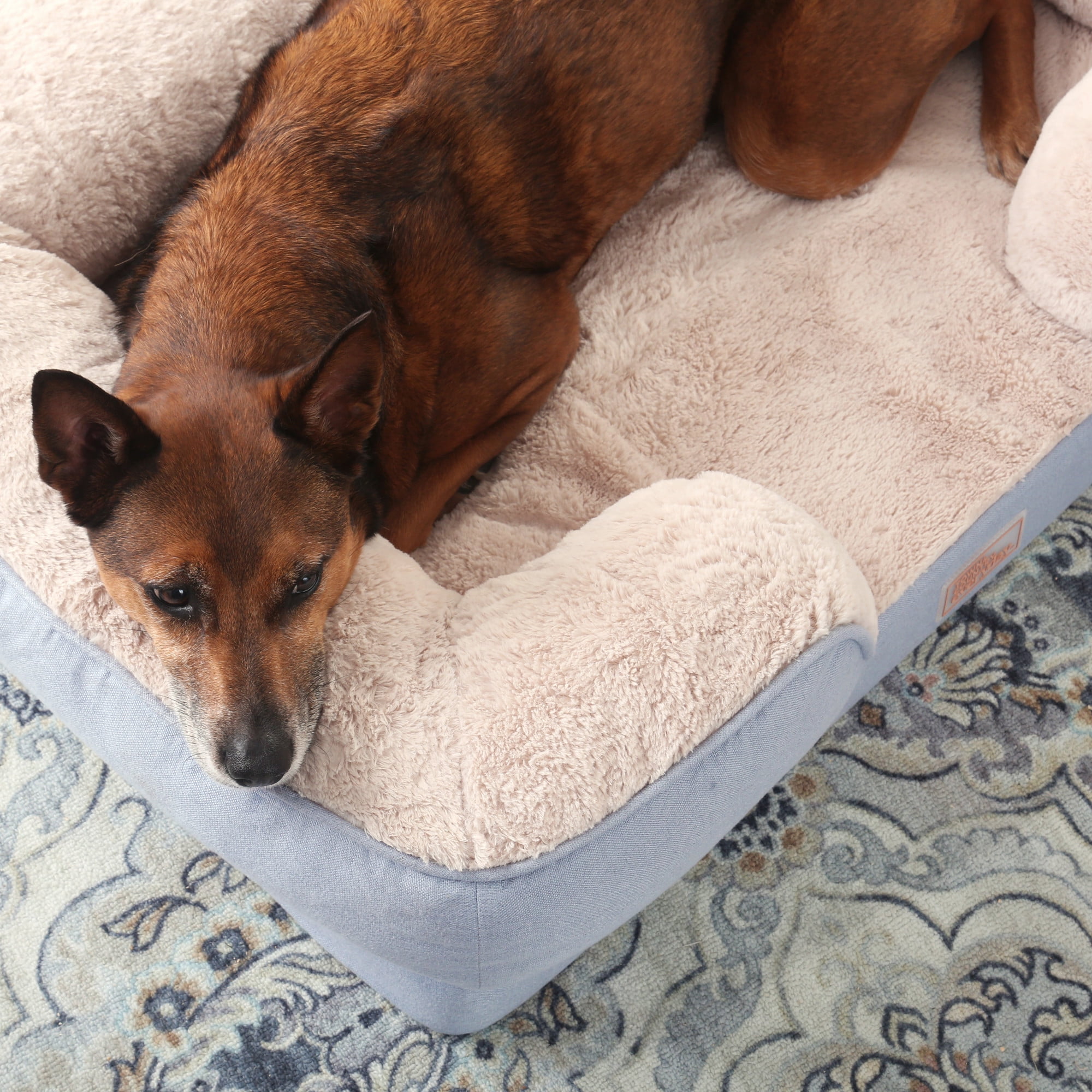 TOWN & COUNTRY EVERYDAY CuddleTown Comfy Solid Bolster Sofa Pet Bed, Supportive & Calming Egg Crate Foam, Water Repellent, Non-Slip Bottom, Machine Washable Cover, Cream, Medium 28"x23"x8"