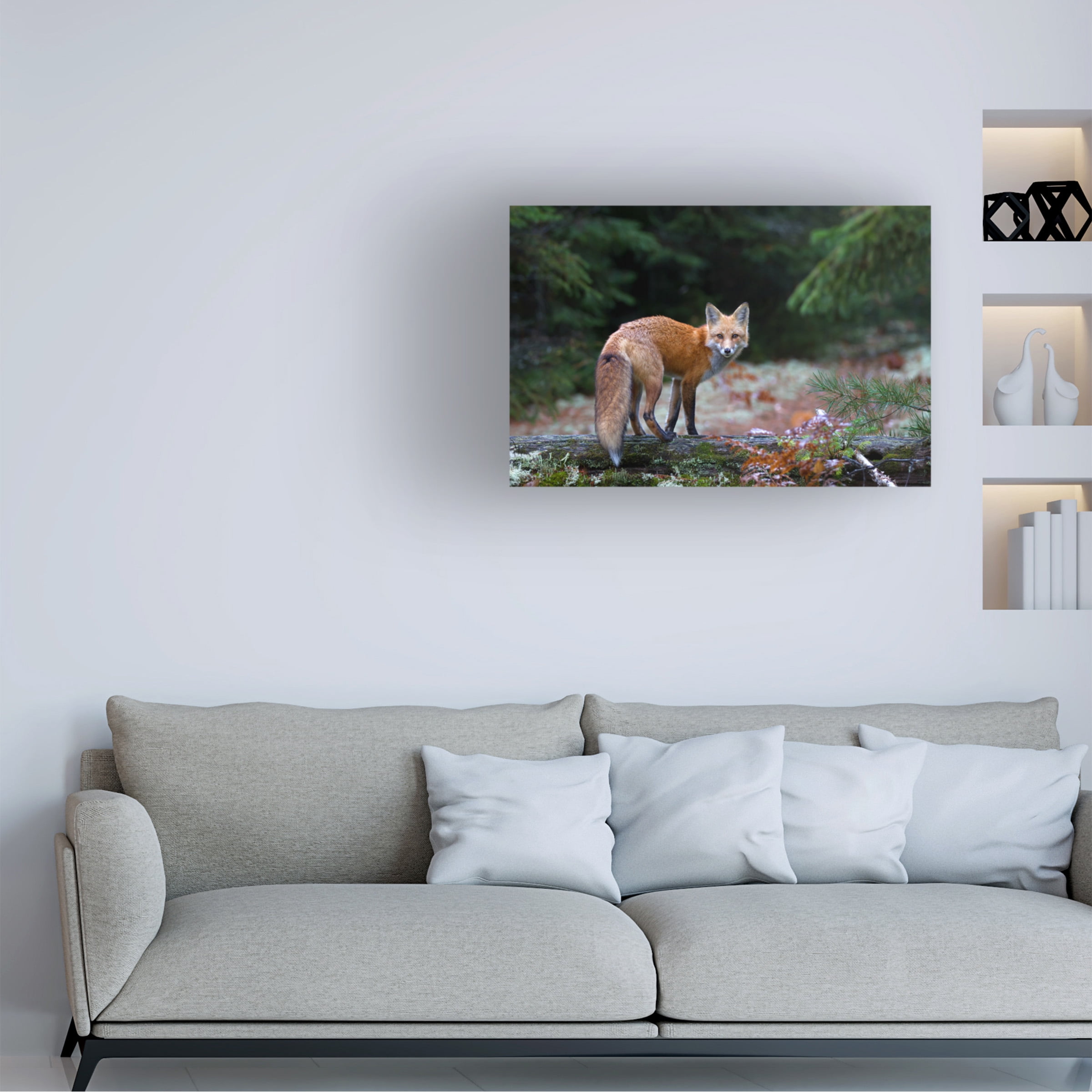 Jim Cumming 'Red Fox In Algonquin Park' Canvas Art