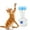 White, variant on Specollect 3Pcs Interactive Windmill Cat Toys with Catnip,Cat Toys for Indoor Cats Funny Kitten Toys with Ball,Cat Exercise Toys,Kicker Toys,Cats Gift,Cat Toys for Bored All Breeds Cat