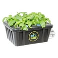 thumbnail image 3 of OxyCLONE OX20SYS 20 Site Hydroponics Compact Recirculating Cloning System Kit, 3 of 7