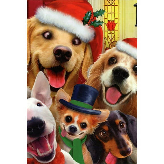Nobleworks Dogs Making Silly Faces Howard Robinson Humorous / Funny Christmas Card (1 card/1 envelope)