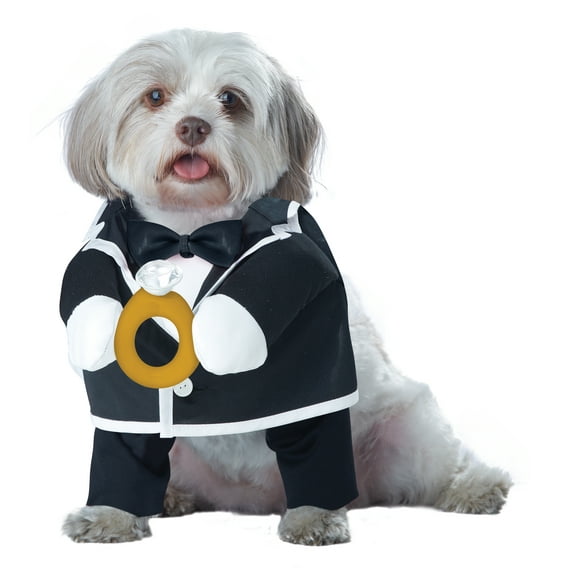 California Costumes Puppy Love Groom Pet Costume | Small Male