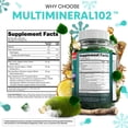 thumbnail image 4 of Sea Moss Gummies | Clinically Tested - Black Seed Oil Ashwagandha Elderberry Burdock Root Chlorella Manuka Honey - Vegan Irish Sea Moss Gummy Vitamins for Adults Kids Men Women - Green Apple Flavor, 4 of 9
