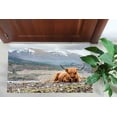 thumbnail image 6 of Highland Cow Rug, Farmhouse Rug, Trendy Rug, Animal Rug, Classic Rug, Home Decor Rug, Machine Washable Rug, Popular Rug, Luxury Rug, 2'x3' - 60x90 cm, 6 of 8