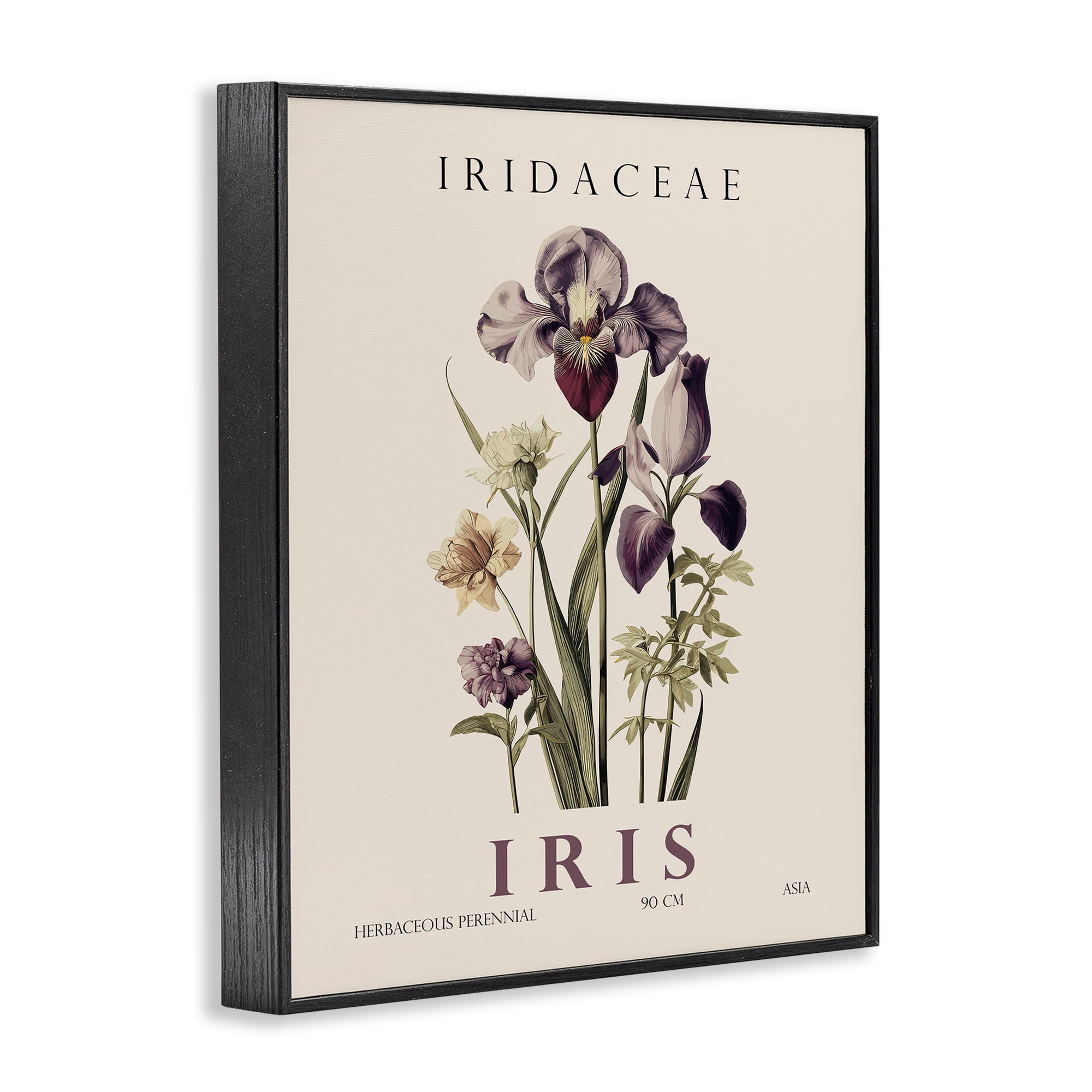 Stupell Industries Natural Iris Bundle Black Framed Giclee Art, design by Christopher Giampietro