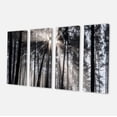thumbnail image 2 of Design Art - Sunbeams through Black White Forest, 2 of 3