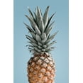 thumbnail image 2 of 1x Studio III 23x32 Black Ornate Wood Framed with Double Matting Museum Art Print Titled - Pineapple Blue 02, 2 of 4