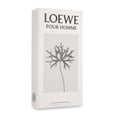 thumbnail image 3 of Loewe Pour Homme Loewe 100Ml Edt Spray Model, 3 of 3