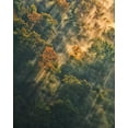 thumbnail image 2 of OBrien, Jay 26x32 Gold Ornate Wood Framed with Double Matting Museum Art Print Titled - NY, Letchworth SP Sunrise lights foggy forest, 2 of 4