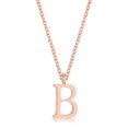 thumbnail image 1 of Precious Stars Collier Initiale en Acier Inoxydable Or Rose, 1 of 1