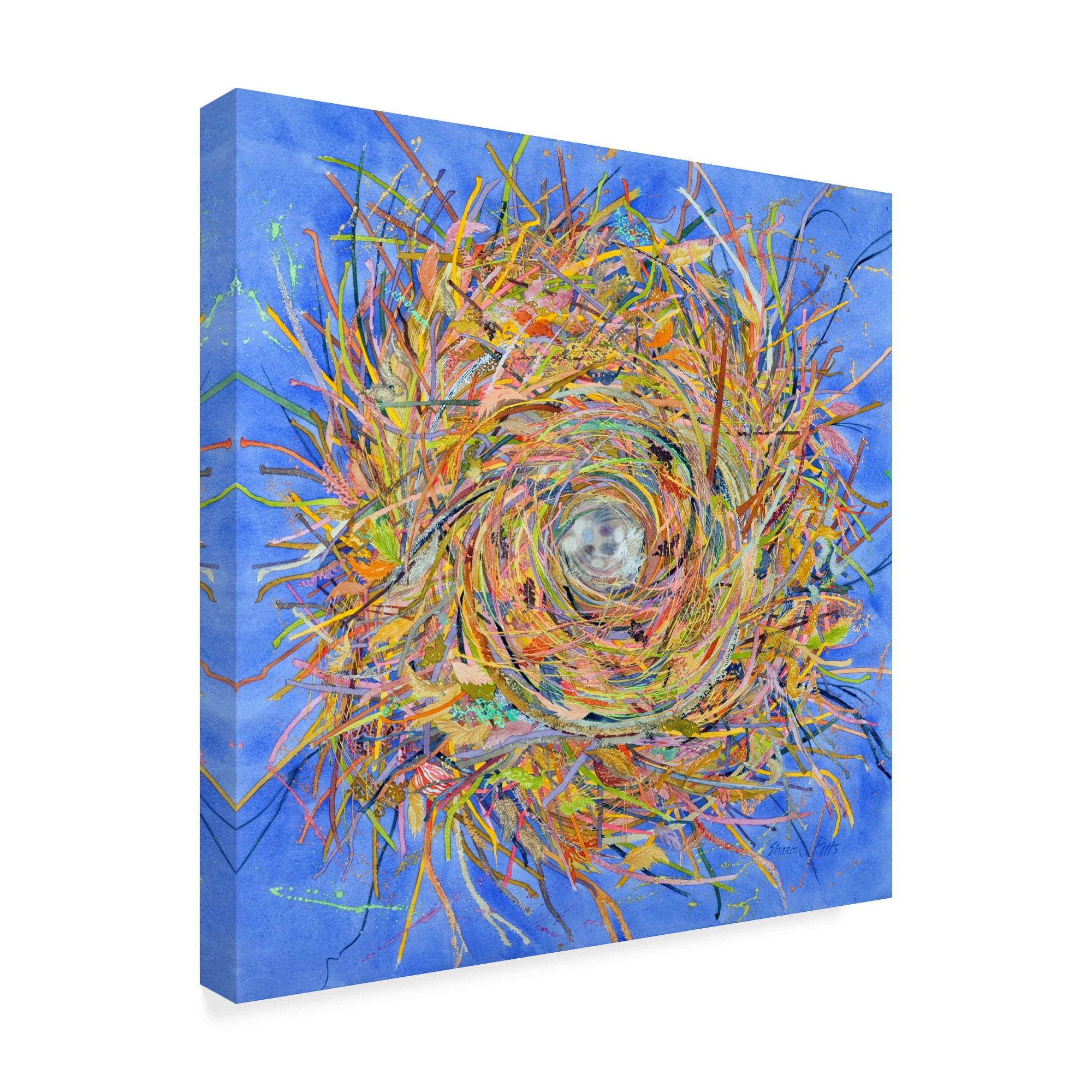 Trademark Fine Art 'Nest Vortex' Canvas Art by Sharon Pitts