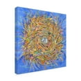thumbnail image 2 of Trademark Fine Art 'Nest Vortex' Canvas Art by Sharon Pitts, 2 of 3