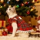 thumbnail image 5 of Ropa navideña para perros, vestido navideño, lindo conjunto de ropa para cachorros, ropa para mascotas pequeñas con falda de lazo, adecuada para decoración de fiestas navideñas, ropa de poliéster para, 5 of 6