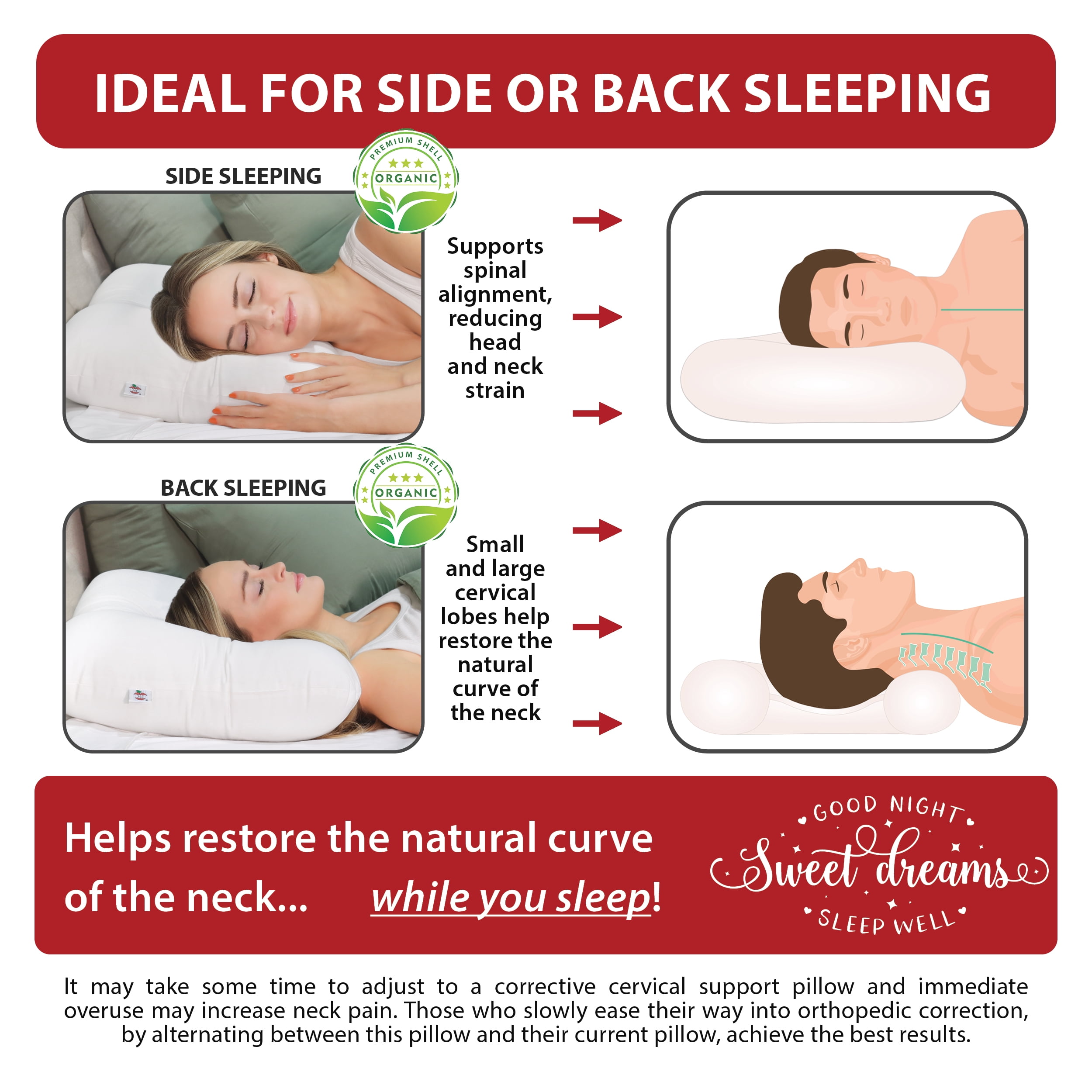 Core Products Tri-Core Natural Cervical Support Pillow for Neck Pain, with 100% Premium Organic Cotton Shell, Petite, Gentle