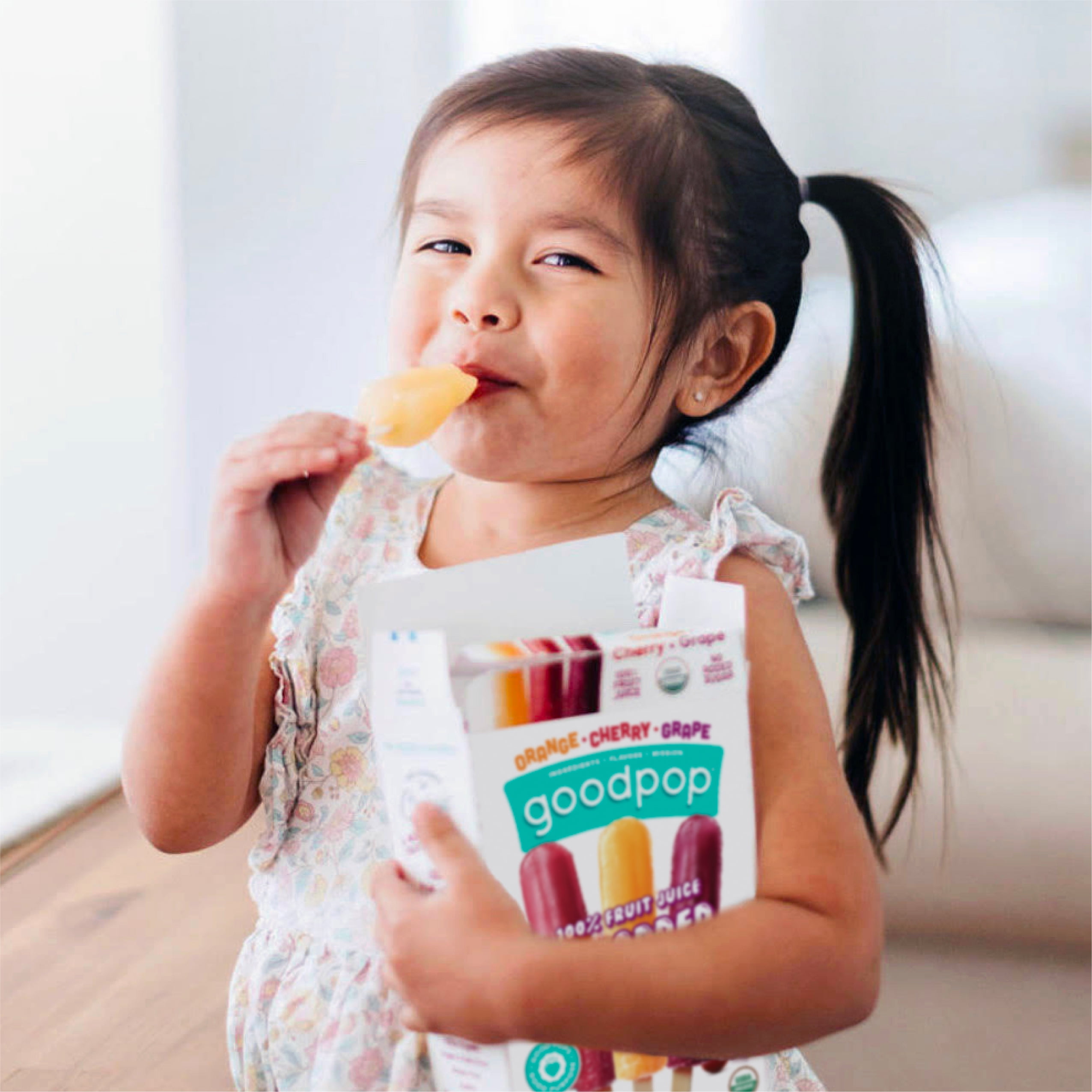 GoodPop Organic Junior Pops Orange Cherry Grape Pack, 100% Juice Ice Pops, 6 ct