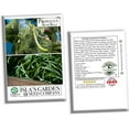 thumbnail image 2 of Provider Bush Green Bean Seeds for Planting, 30+ Heirloom Seeds Per Packet, (Isla's Garden Seeds), Non GMO Seeds, Botanical Name: Phaseolus vu aris, Great Home Garden Gift, 2 of 8
