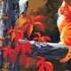thumbnail image 3 of Pintura por números BLESIY Artesanías Decoración para hogar Selección de 15 Patrones Pájaros y gato, 3 of 7