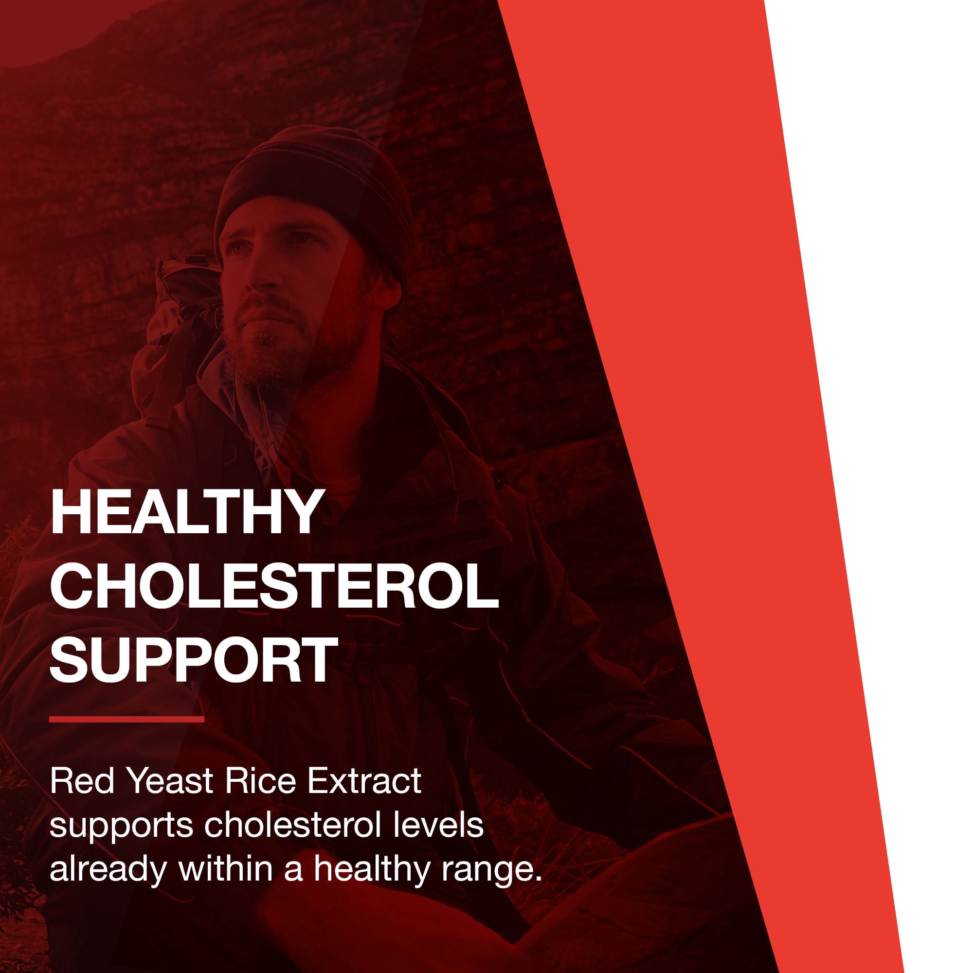 Protocol for Life Balance Red Yeast Rice Extract 600 mg - Traditional Herbalism - 90 Veg Caps