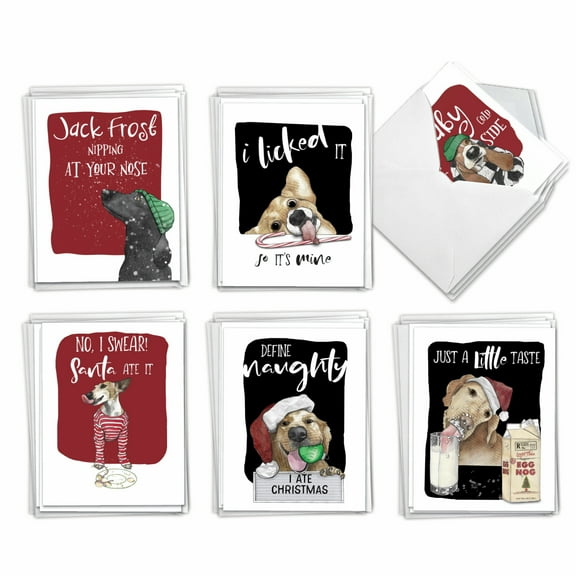 The Best Card Company 36 Assorted Funny Christmas Note Cards Bulk Box Set 4 x 5.12 Inch with Envelopes (6 Designs, 6 Each) Holiday Dog Antics AM2918XSG-B6x6