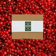 thumbnail image 2 of Louisiana Pantry Sprite Winter Spiced Cranberry 12 oz Gift Set | Soda With A Perfect Holiday Flavor In 12 oz Cans | Enjoy This Seasonal Soda (24 Cans), 2 of 7