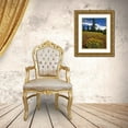 thumbnail image 3 of Terrill, Steve 26x32 Gold Ornate Wood Framed with Double Matting Museum Art Print Titled - OR, Wallowa-Whitman NF Yellow eriogonum, 3 of 4