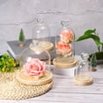 thumbnail image 4 of Uxcell 3.1" Glass Dome Cloche Clear Glass Bell Jar Display Tabletop Centerpiece Wooden Base Natural, 4 of 7