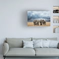 thumbnail image 2 of Renee Doyle 'Elephant Walk' Canvas Art, 2 of 4
