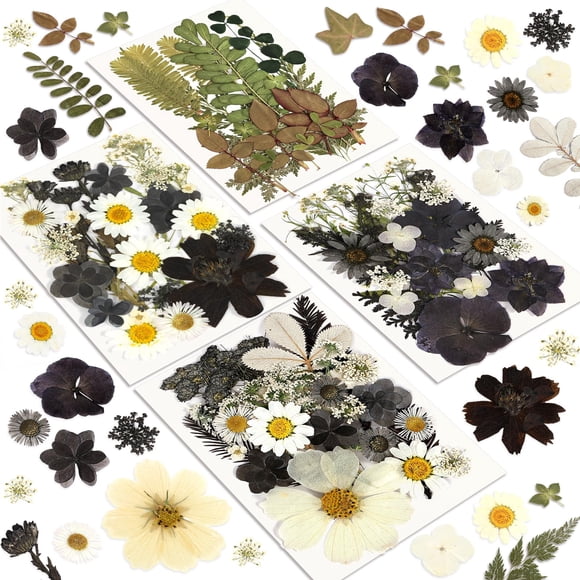 Kit de flores secas Resiners, juego de 100 piezas prensadas de forma natural