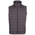thumbnail image 1 of Trespass - Chaleco Enoless de DLX para Hombre (Negro) Trespass UTTP5745_black, 1 of 2