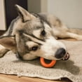 thumbnail image 2 of CUITING Durable And Natural Rubber Dog Biting Toy Ring Pet Chew Clean Teeth Toy (Orange), 2 of 6